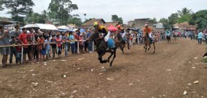 Awal Mula Kuda Digunakan Sebagai Perlombaan